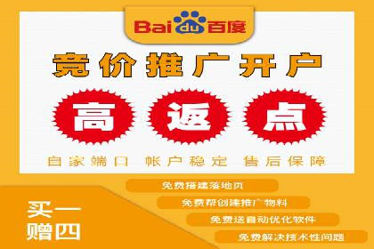 搜索开户返点政策下的成功案例分析